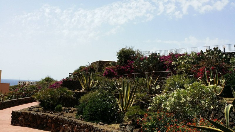 10340337 10204166745473413 1522831166 o 78340 1