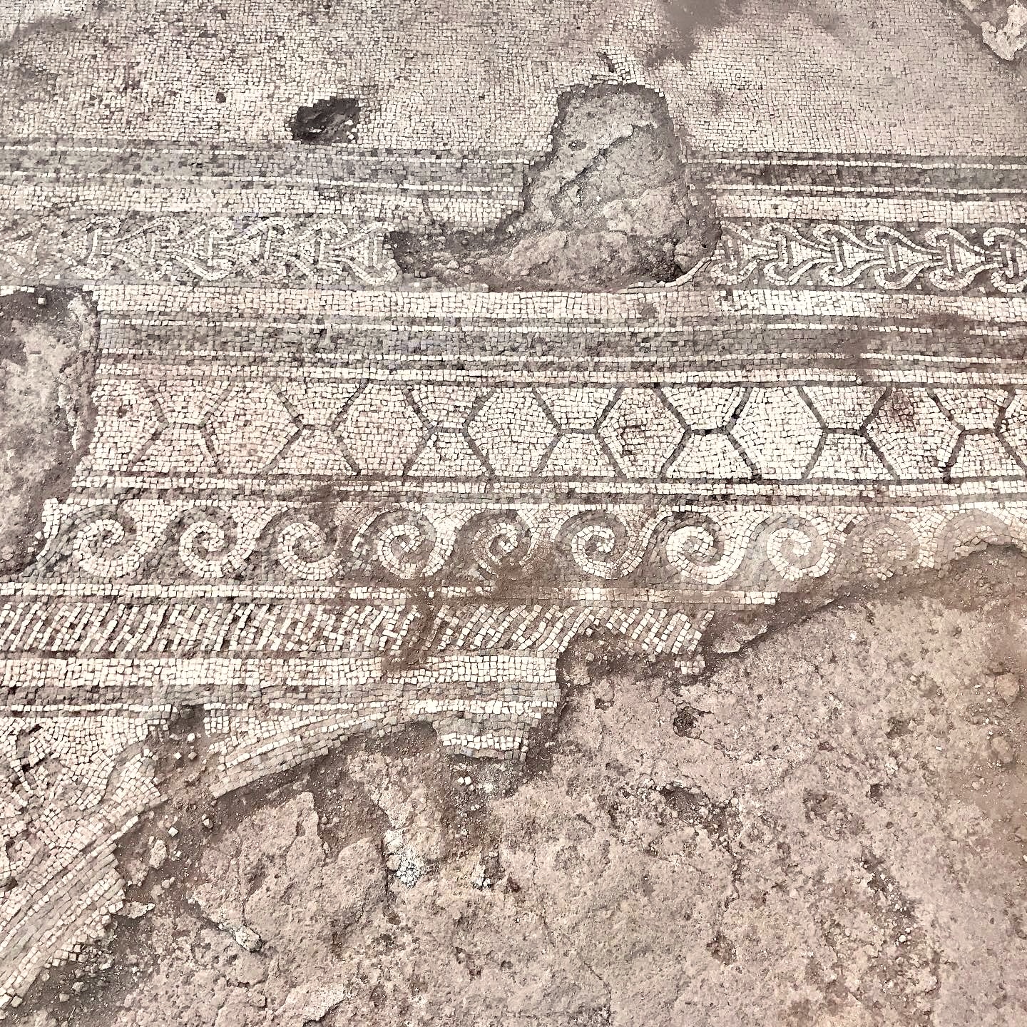 7834814d e562 477b 88b9 10ea9f6aa6ef